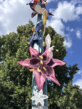 OCVETLIČENJE (7)